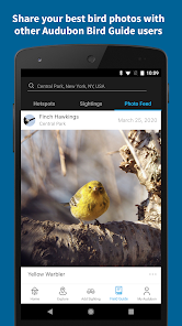 Audubon Bird Guide screenshot