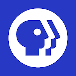 PBS icon