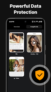 Private Browser screenshot
