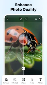 BgMaster screenshot
