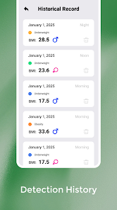 MassM BMI screenshot