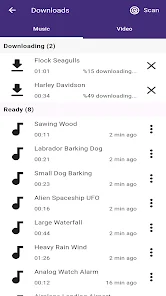 FastSave screenshot