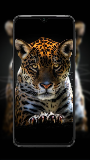 Cheetah Leopard Wallpaper screenshot