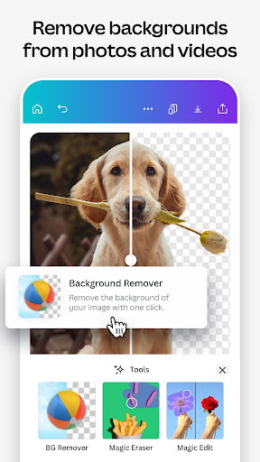 Canva screenshot