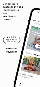 Lotus Flow screenshot