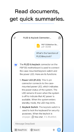DeepSeek screenshot