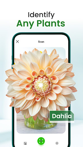 Florify screenshot