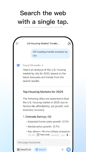 DeepSeek screenshot