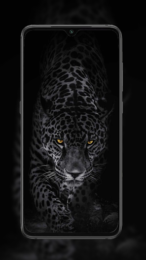Cheetah Leopard Wallpaper screenshot