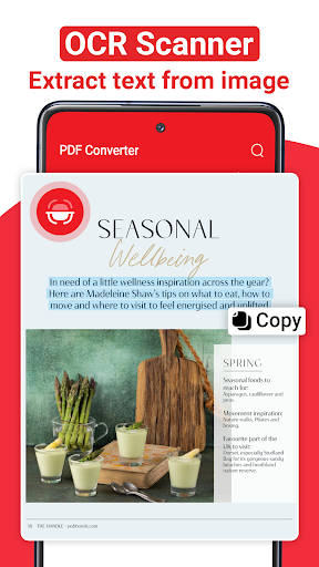 PDF Converter_3