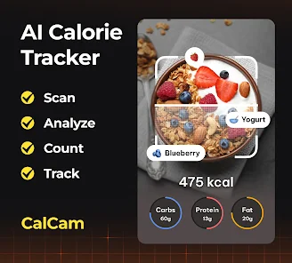 CalCam_0