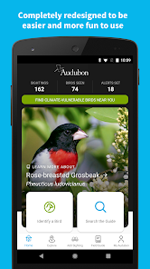 Audubon Bird Guide_0