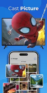 Cast to TV+ ChromeCast Roku TV_4